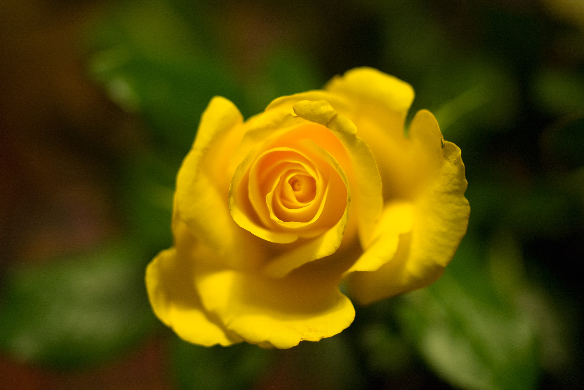 Dry Run Creek Academy