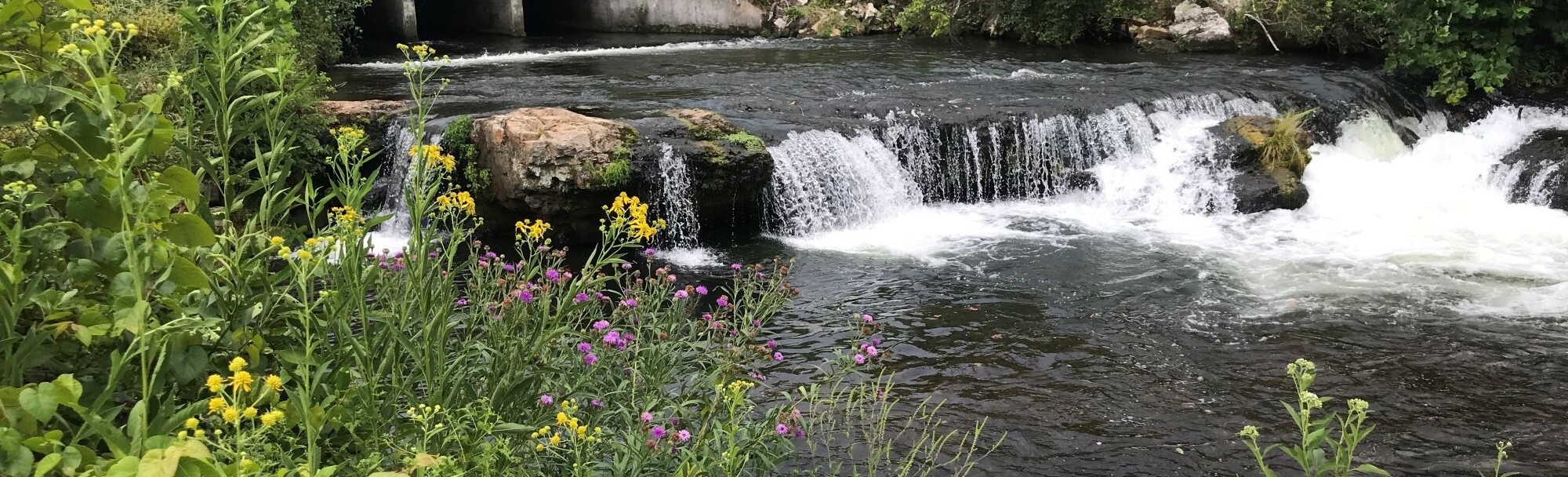 Dry Run Creek Academy